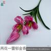 Tulipa Florida de Três Flores e Duas Hastes Tulipa Florindo com Cinco Flores Decoração para Sala de Estar de Casa Flor Artificial Flor para Arranjo de Casamento Flor de Seda
