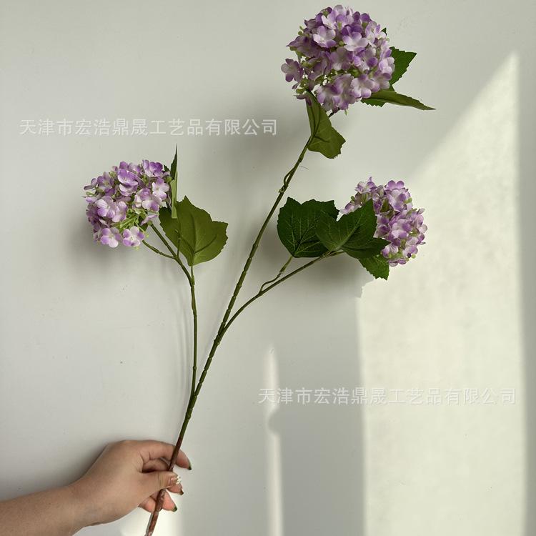 微信图片_202303091820172_副本