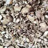 Mercado Mayorista de Medicina Herbal China Rodajas de Qianhu, Flores Blancas de Qianhu, Letras de Qianhu, Raíces de Qianhu Qianhu, Dos Tipos de Qianhu