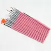 15 Pincéis para Iniciantes em Nail Art, Canetas para Desenho de Linhas, Canetas de Flores, Canetas para Pintura com Pontos de Diamante, Conjunto de Canetas Gradientes em Forma de Leque para Fototerapia