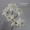 Materiales Florales Blancos para Bodas, Flores de Seda, Decoraciones de Techo para Salones de Bodas, Flores Artificiales, Flores para Arcos, Arreglos Florales, Arte Floral