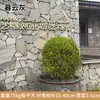 Pedras Culturais Naturais em Peças de Formato Irregular para Pisos de Pátio e Jardim, Revestimentos de Parede, Paredes de Fundo de Vilas e Paredes Externas