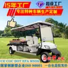 Coche Turístico Eléctrico, Oficina de Ventas de Hotel, Camilla para Lugares Pintorescos, Ambulancia, Atención Médica, Carrito de Golf para Exportación de Comercio Exterior