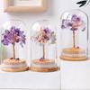 Árbol del Dinero de Grava de Cristal Natural Cubierta de Polvo de Vidrio Micro Paisaje Árbol de Cristal Árbol de la Vida Amazonas Muebles para el Hogar