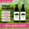 Solución Nutritiva Especializada para Musgo, No Requiere Dilución, Un Rociado para Crecimiento Rápido, Fertilizante Líquido para Tratar Hojas Amarillas en Plantas Verdes de Maceta, Venta al por Mayor desde el Fabricante