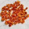 Brasil normal cabeza de flor de estrella pequeña cabeza de flor de margarita pequeña aceite nutritivo para uñas relleno de flor seca suministro transfronterizo de Amazon