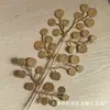 Eucalipto Pequeno Dourado Folha de Leque Dourada Balde de Ano Novo Garfo Único Cauda de Fênix Pequena Garfo Único