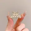 Pinza de pelo pequeña con garra para temperamento de princesa, pinza de pelo lateral estilo coreano exquisita, sensación de alta gama, nuevo pinza de pelo para media coleta 2026