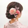 Acessórios de Cabelo Hanfu, Ornamentos de Cabelo Estilo Chinês Tradicional, Grampos de Cabelo para Sessão de Fotos, Grampos de Cabelo de Princesa com Borla, Grampos de Cabelo Florais Estilo Tang