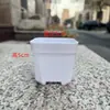 4/5.3/6.4/8cm blanco carnoso pequeño blanco maceta carnosa esqueje maceta semillero plantación de hojas carnosa pequeña maceta