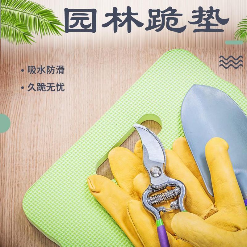 O1CN01envYgq1PwXC2uwcf0_!!9452