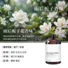 Recarga de Aceite Esencial de Aromaterapia Yulong Tea para Piedras Difusoras, Específicamente para Ambientadores y Difusores de Coche, Proporciona Fragancia Duradera