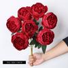 Ramo de Peonías de 7 Cabezas Estilo Europeo Rosa Pared de Flores de Boda Flor Artificial Decoración de Mesa para el Hogar Peonía Envuelta en Núcleo Occidental Flor de Seda