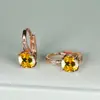 Pendientes de circonita cúbica morada de nueva ronda Cross-border Wish, modernos y versátiles, joyería al por mayor estilo europeo y americano