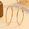 Brincos Circulares Grandes Vermelhos Retorcidos Simples Transfronteiriços Design de Nicho Feminino Brincos de Luxo Leve High-end Brincos Exagerados