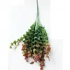 Helecho Colgante Estilo Bosque Techo Pared Verde Planta Decoración Enredadera Tipo Hilo Colgante de Helecho
