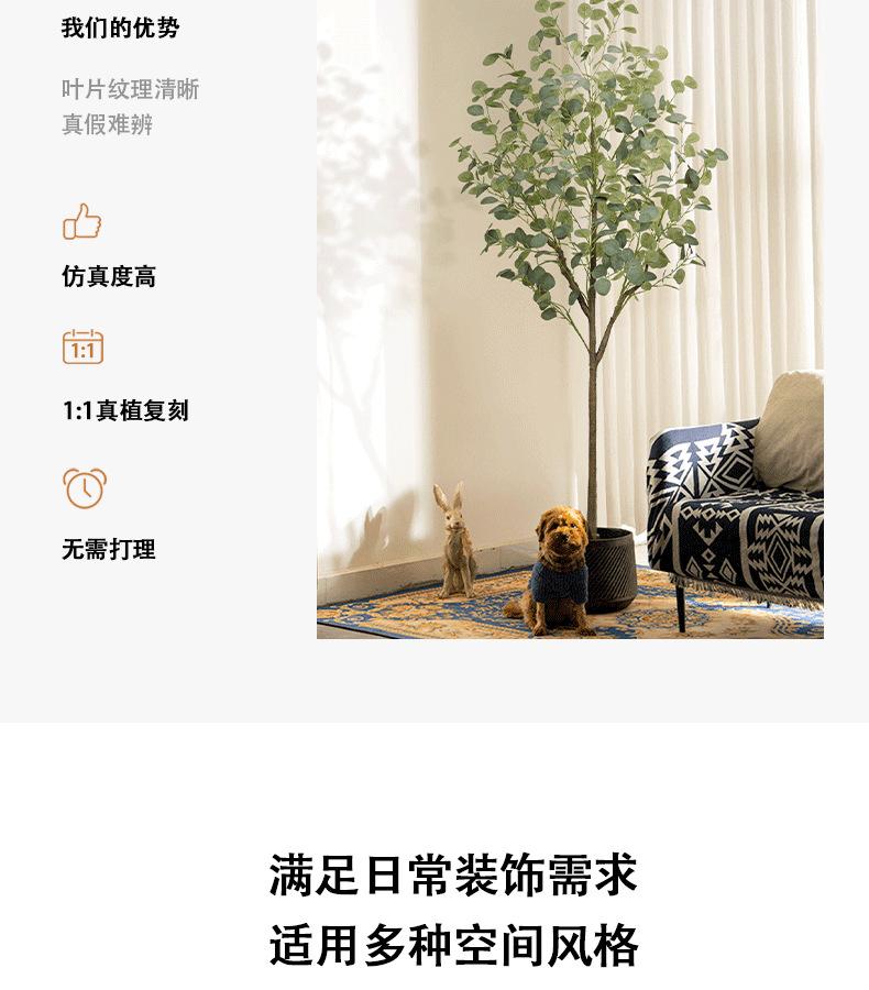 尤加利详情页_06.png