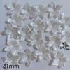 Nuevo soporte para flores de Bauhinia transparente de colores con pétalos de loto de cinco pétalos material de cuentas hecho a mano para bricolaje al por mayor