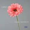 Gérbera Artificial de Haste Única Decoração de Casa Gérbera com Haste Aveludada Venda Quente Transfronteiriça Flor Artificial Jardinagem Doméstica Arranjo de Flores