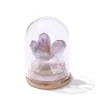 Jingde Joyería Racimo de Cristal Natural Embotellado Cubierta de Vidrio Transparente A Prueba de Polvo Adornos de Escritorio Manualidades Decorativas Venta al por Mayor