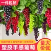 Racimos de Uva Escarchada Simulada, Frutas Simuladas, Uvas de Plástico, Modelos de Frutas Falsas para Props, Adornos Colgantes Decorativos