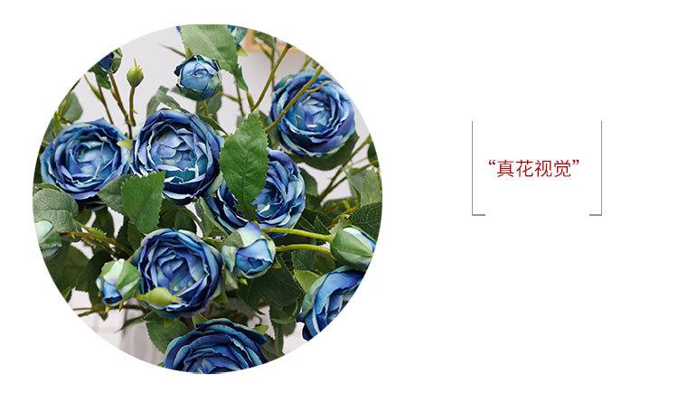 4头大茶花+6头金香玉_09.jpg