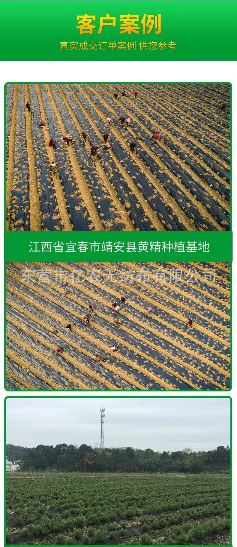 e3938deeef82e1dcf51f5fc173c6b2