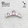 Brincos Coroa de Zircônia Marquise em Liga de Titânio G23 F136 Liga de Titânio Europeu e Americano Populares Brincos de Piercing Corporal