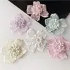 Frete Grátis Novo Botão de Flor Fofo Acessórios para Vestuário DIY Artesanal Renda Decorativa Adesivos de Tecido Roupas Chapéus Acessórios Flores Tridimensionais