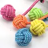 Juguete de Tire y Afloja para Perros, Juguete para Perros para la Dentición, Juguete Resistente para Masticar para Cachorros, Suministros para Mascotas para Perros Pequeños, Procesamiento de Cuerda Masticable para Mascotas