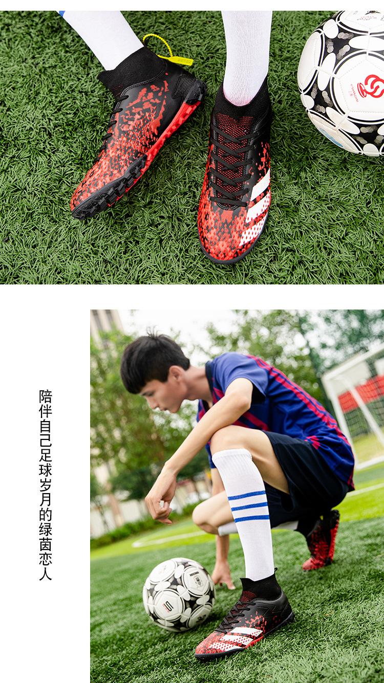 版面 (12).jpg
