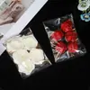 Oferta Especial para Processamento Pontual, Saco Opp Extra Grande, Saco Transparente Autoadesivo, Embalagem para Roupas e Vegetais, Saco Autoadesivo com Fecho Zip