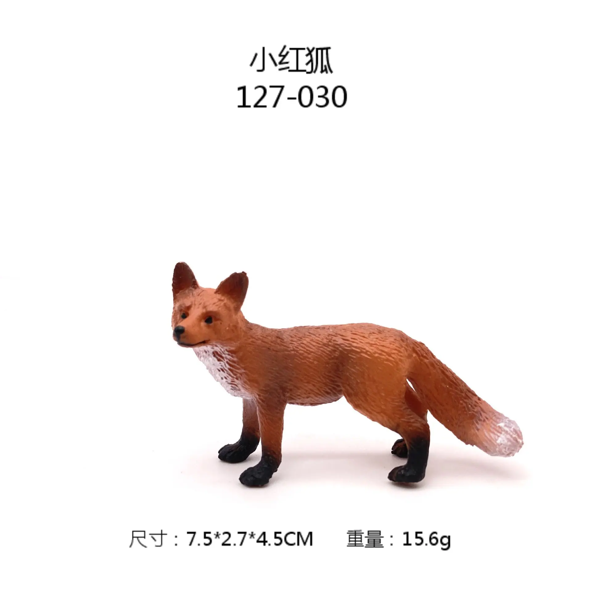 尺寸