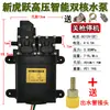 Bomba de Agua para Motor de Pulverizador Eléctrico Agrícola de 12V Máquina de Alta Presión Accesorios Bomba Autocebante de Doble Núcleo de Alta Potencia