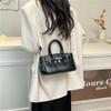 Bolso bandolera sencillo de moda para principios de primavera de 2025, elegante y elegante, bolso de mano coreano de color liso.
