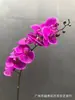 Simulação de Orquídea Phalaenopsis Japonesa de Nove Flores com Fita Adesiva Comércio Exterior Flor Artificial Falsa Decoração de Arranjo de Flores para Sala de Estar Quarto Modelo