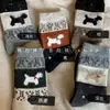 Calcetines de otoño e invierno estilo retro coreano con forro polar estilo japonés cálidos y acogedores con estampado de perro de dibujos animados y bloques de color hasta la mitad de la pantorrilla para mujer