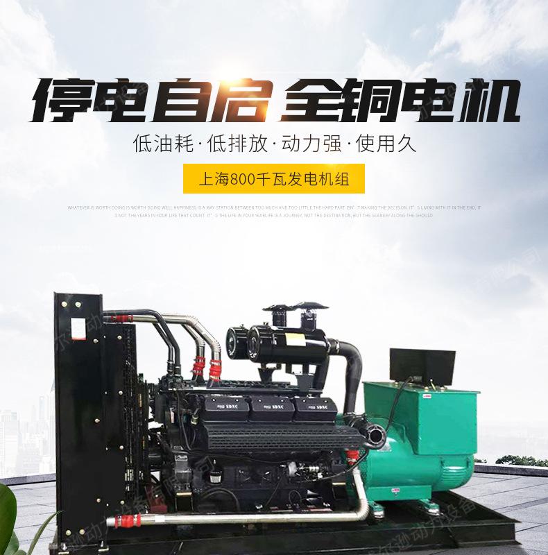 上海800千瓦发电机组_01.jpg
