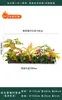 Flores Artificiais Plantas Verdes Conjunto de Divisória Decorativa Flores de Plástico e Seda Decoração de Paisagismo Arranjo de Paisagem Exibição de Janela Interna