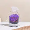 Bolsa Aromaterapia Compuesta, Bolsita de Cristal Mineral Nano, Bolsita para Coche, Bolsa de Gasa, Bolsa de Carbón, Bolsa de Carbón Activado Desodorante para Coche