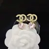 Pendientes de alta calidad para todo tipo de atuendos, pendientes de moda para hombres y mujeres, letras de pedrería, todo a juego, pasador de plata s925, accesorios de aleación