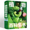 Formato Grande Alta Calidad Tapa Dura Tapa Dura Enciclopedia Infantil Universo Dinosaurio Animal Ciencia Ciencia Popular Lectura Extracurricular Infantil