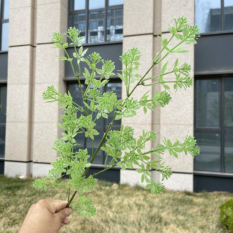 4叉原色叮咚草 绿色.JPG