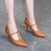 Sapatos Sociais Femininos com Fivela de Uma Tira, Novo Estilo Primavera 2026, Salto Alto Elegante Fino, Scarpins Rasos de Bico Fino