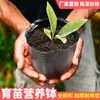 Taza de Nutrientes Taza para Plántulas Bolsa Negra Desechable para Nutrientes Bolsa para Plántulas Tamaño Grande Siembra Plantación Maceta de Plástico para Plántulas Maceta de Nutrientes