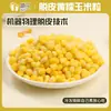 Granos de maíz ceroso amarillo pelados, granos de germen de maíz pelados congelados frescos, materias primas para hacer tamales y bolas de arroz con maíz, maíz fresco