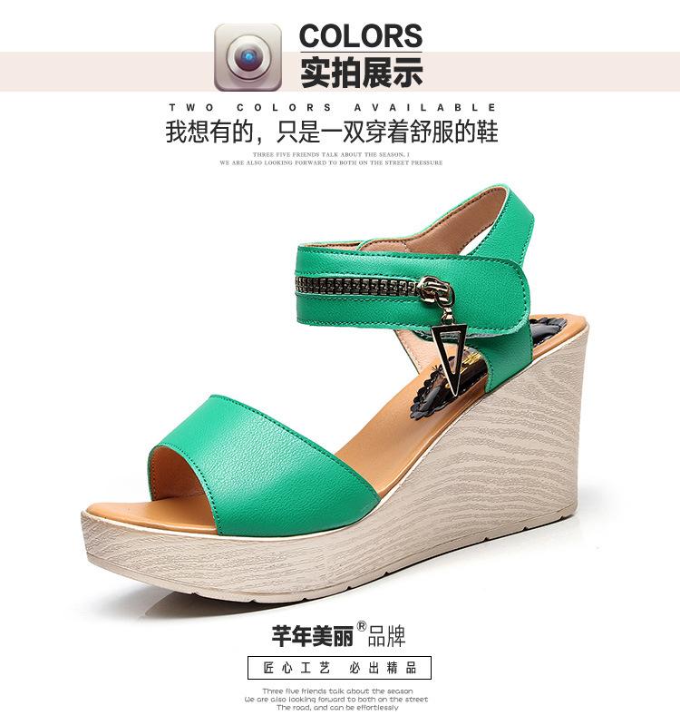5595详情页标准_20.jpg