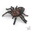 Modelos de Insetos para Simulação Escolar: Borboleta, Joaninha, Besouro com Chifres, Abelha, Borboleta, Gafanhoto Brinquedo Auxílios de Ensino Cognitivo
