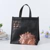 Sacola térmica personalizada para viagem, sacola especial de alumínio para sorvete, bolsa refrigerada para frutas, durian, bolsa térmica de grande capacidade