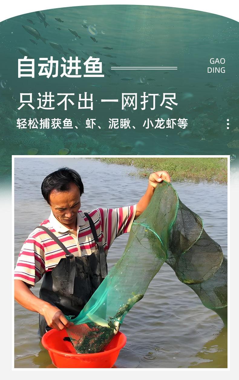 详情页_03.jpg
